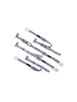Sure-Lok Tie Down Ratchet Kit with Clip and D Ring 2 Ratchet Buckle and 2 Cam Buckle  (Series L)