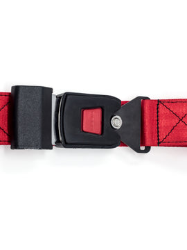 Ricon Seatbelt Extension (24" Long)