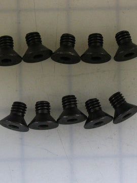 BRAUN 10 PK / SCREW 5/16 18 X 1/2 INCH FHSCS KIT